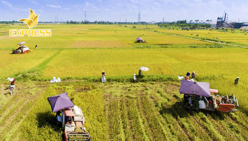 Điều kiện đối với người bán đất ruộng