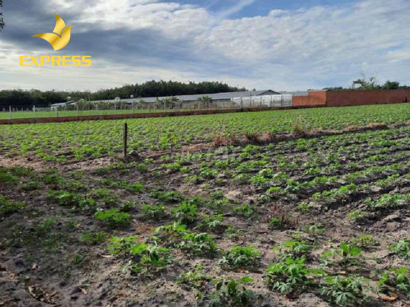 Đôi nét về đất ruộng