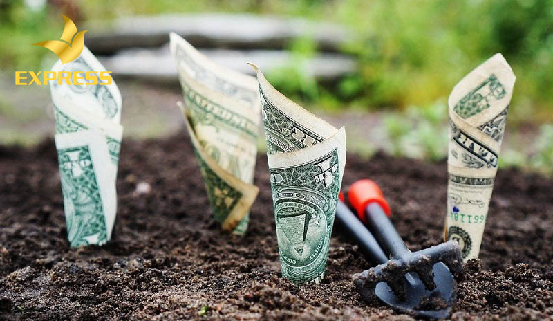 Hiện tượng đội giá với đất ruộng p5 Sóc Trăng