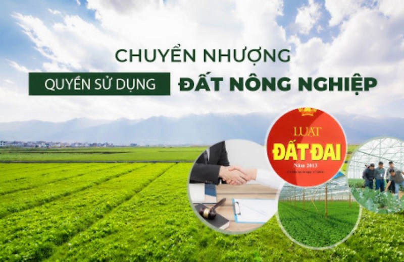 Thế nào là hợp đồng chuyển nhượng đất nông nghiệp?