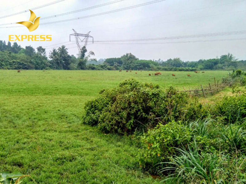 Hợp đồng mua bán phải công chứng rõ ràng