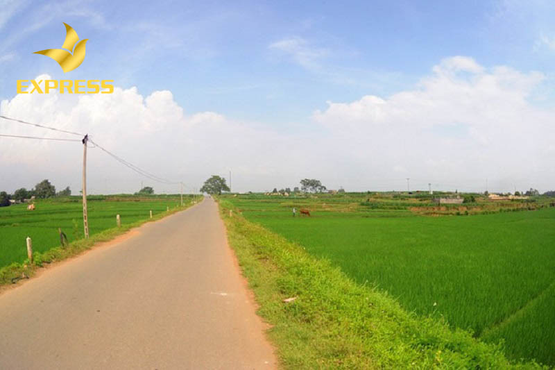 Lựa chọn đất có vị trí đẹp và thuận tiện