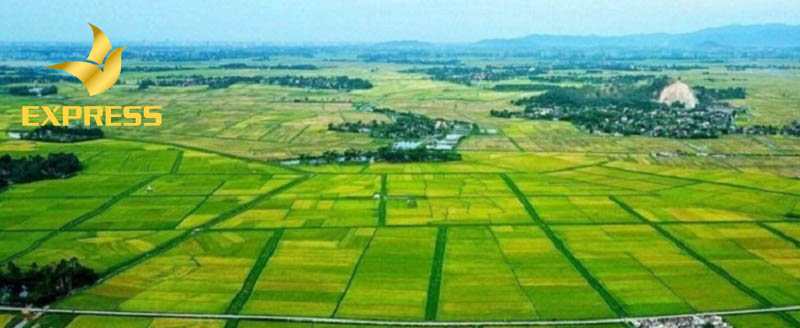 Lựa chọn những mảnh đất có vị trí đẹp, thuận tiện trong vấn đề đi lại và có tiềm lực phát triển