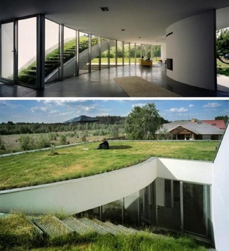 Mái nhà được bao bọc màu xanh của cỏ tự nhiên