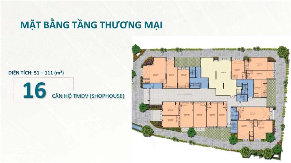 saigon asiana quận 6