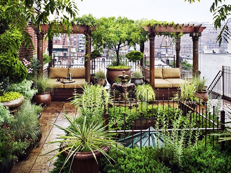 Mẫu sân thượng cũng vô cùng độc đáo