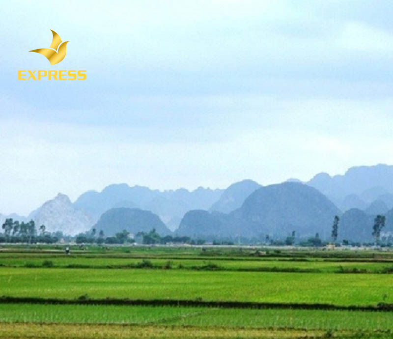 Một số rủi ro khi mua đất ruộng Kiên Giang