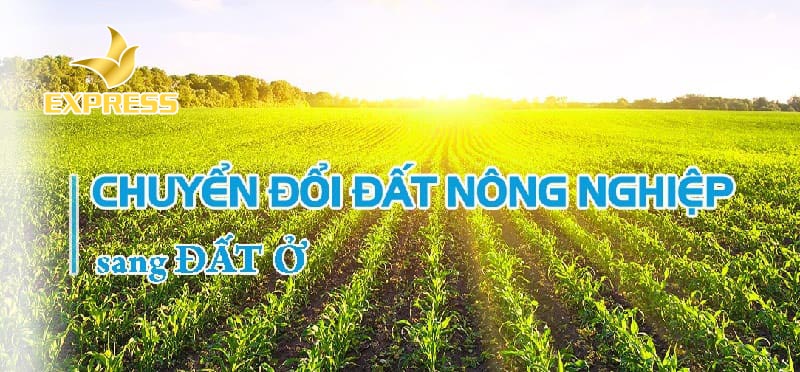 Một số thủ tục hồ sơ xin chuyển đổi sang đất ở