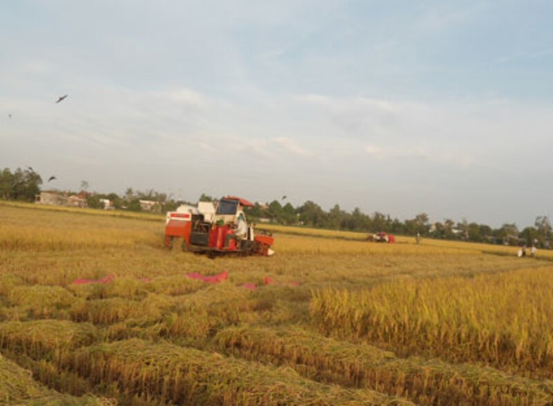 Nghĩa vụ của người sử dụng đất