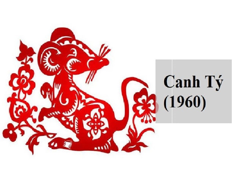 Người tuổi Canh Tý sinh từ 28/01/1960 cho tới 14/02/1961 theo dương lịch và năm Canh Tý theo lịch âm