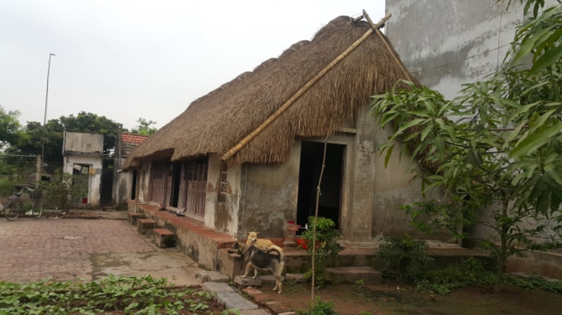Nhà mái rơm xuất hiện nhiều ở thời xa xưa