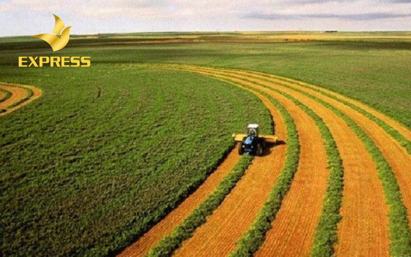 Nhà nước tiến hành cân nhắc hình thức bồi thường đất ruộng đền bù cho người dân