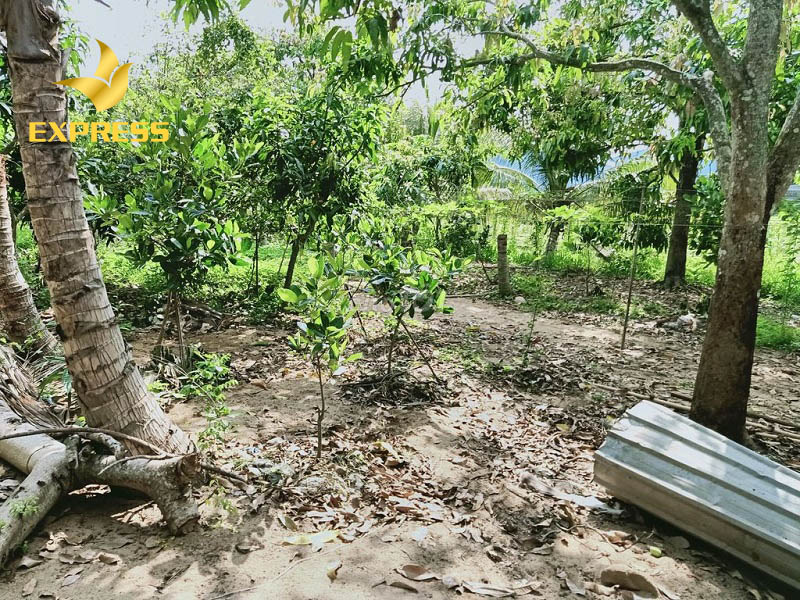 Những loại đất thực hiện chuyển đổi mục đích cần phải được pháp luật cho phép