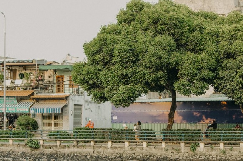 Ốc đảo Thanh Đa bình yên giữa lòng Sài Gòn