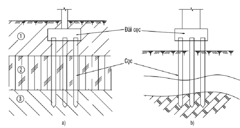 Phân biệt các loại đơn giản được dùng hiện nay