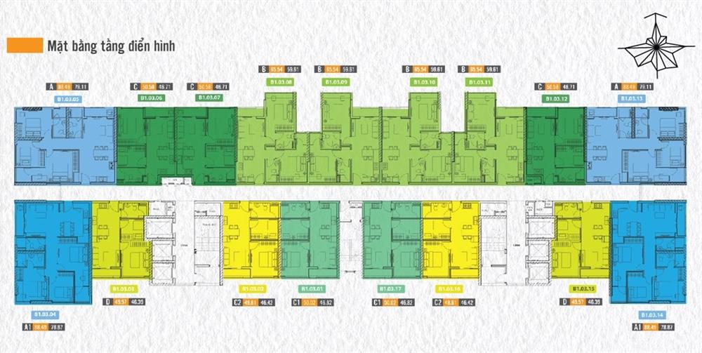 the western capital quận 6