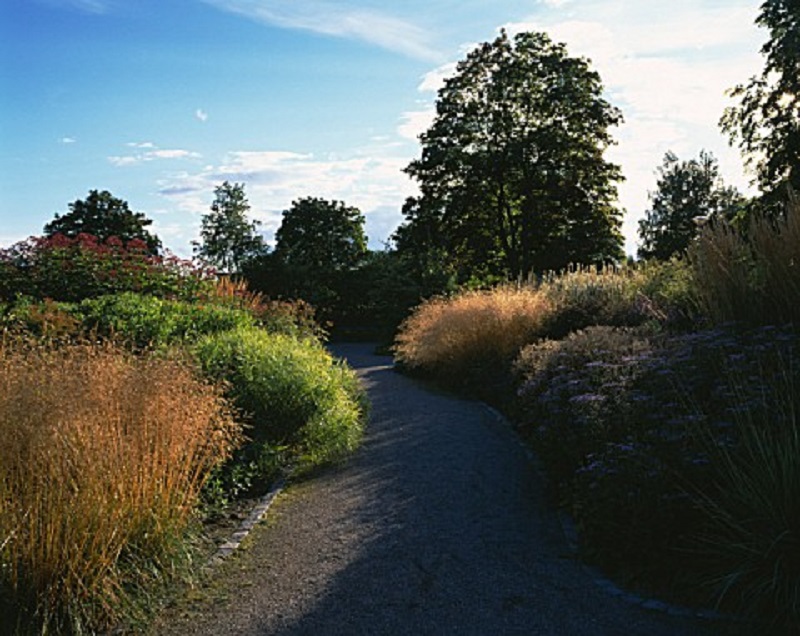 Thiết kế của Piet Oudolf được tính toán tỉ mỉ từ lúc còn là bản vẽ
