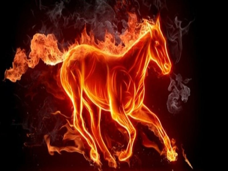 Thông tin cơ bản về những người thuộc tuổi Mậu Ngọ