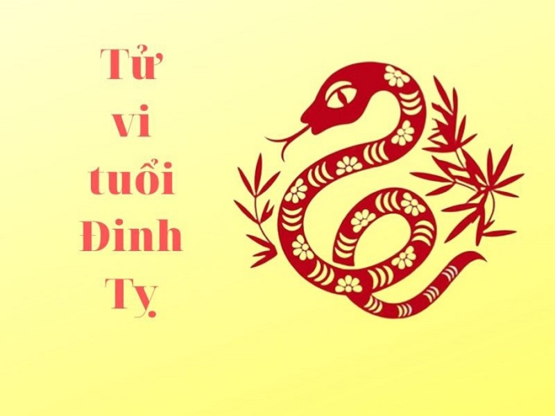 Tử vi gia chủ tuổi Đinh tỵ