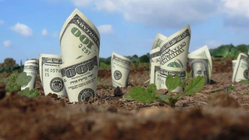 Tiền sử dụng đất là gì