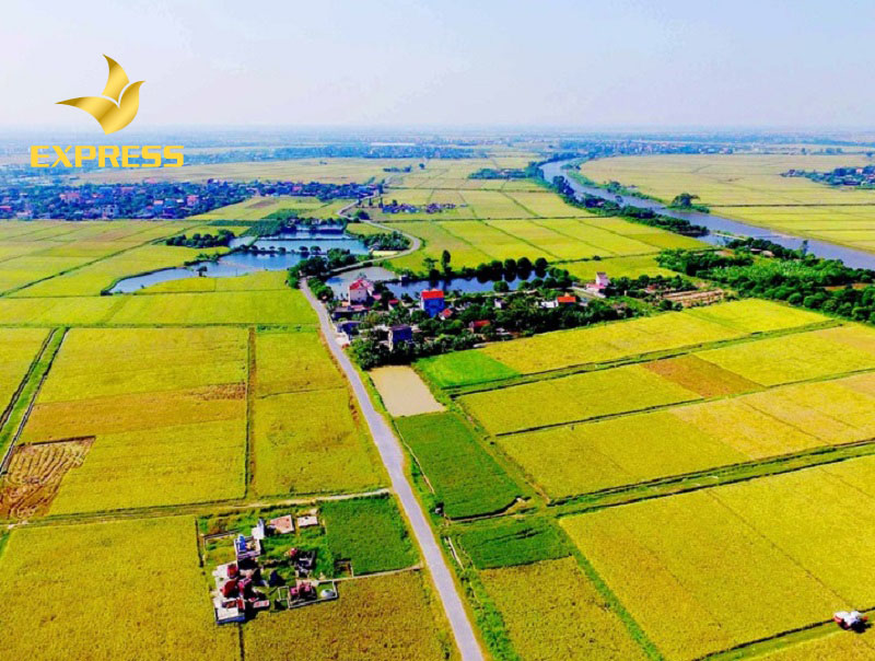 Tìm hiểu thật kỹ về quyền sử dụng đất trước khi muốn mua đất ruộng