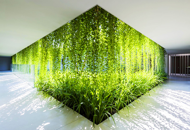 Tìm hiểu về kiến trúc xanh