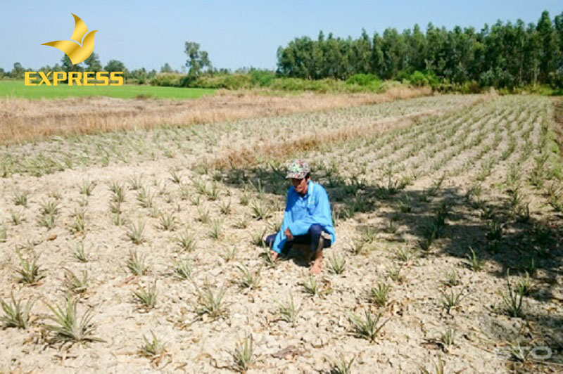 Tìm hiểu về phần đất có nằm trong diện quy hoạch rất cần thiết khi mua