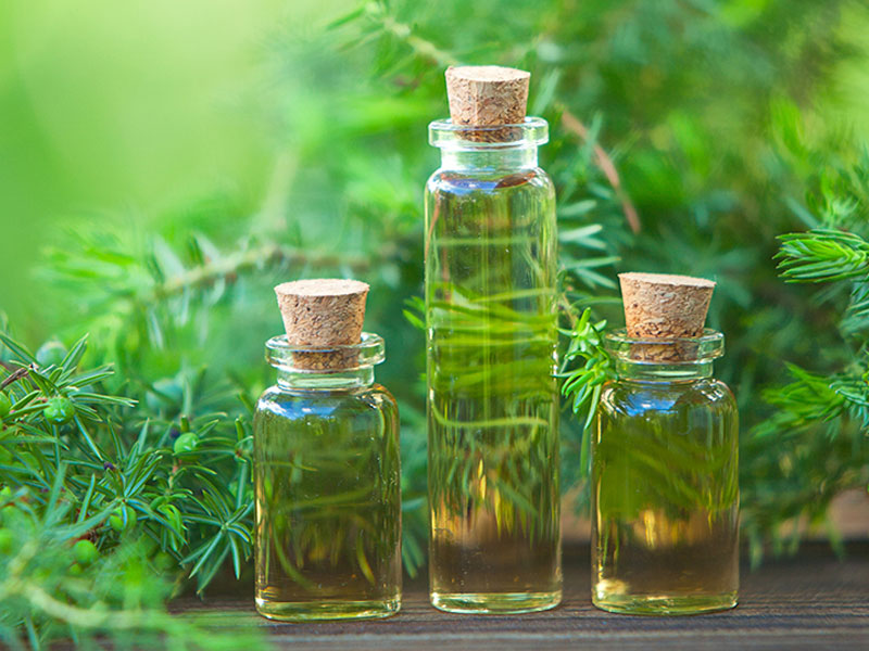 Tinh dầu tự nhiên giúp chống ẩm mốc