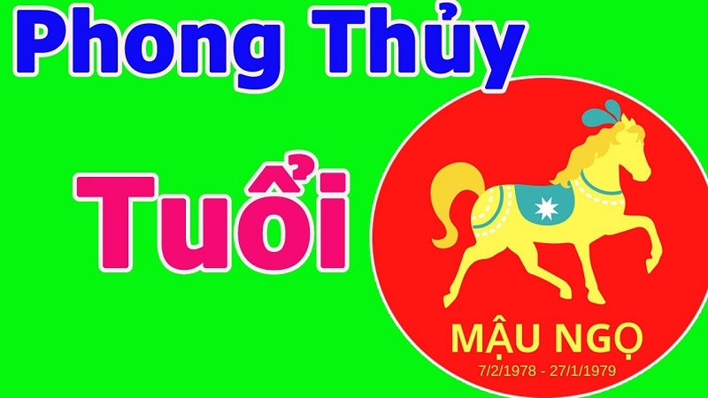 Tổng quan về tử vi tuổi Mậu Ngọ