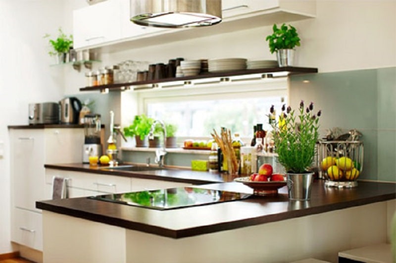 Trồng cây xanh cho căn phòng bếp