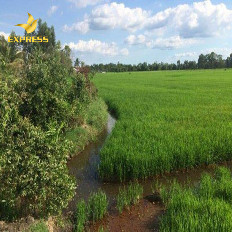 Trong tương lai, đất huyện Đức Hòa còn có xu hướng tăng cao hơn