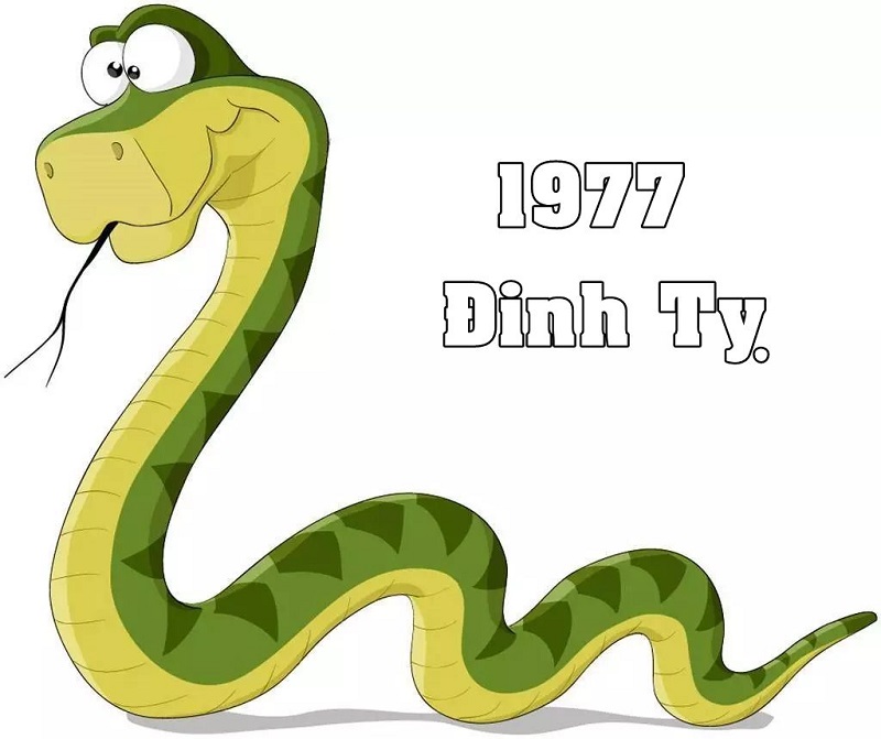 Tử vi tuổi Đinh Tỵ 1977