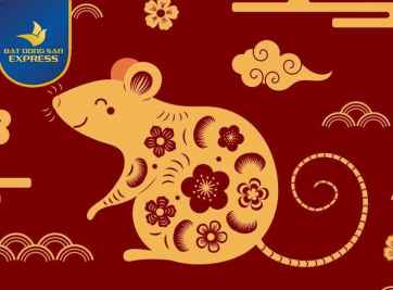 Vận mệnh người tuổi Tý 1991 năm Tân Sửu 2021 - BẤT ĐỘNG SẢN EXPRESS