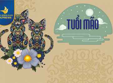 Giải đáp về năm sinh 1987 tuổi Đinh Mão 