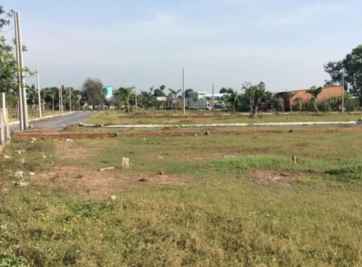 Thủ tục chuyển đổi đất trồng cây lâu năm lên thổ cư.