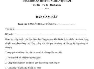 Nội dung trong biên bản cam kết tiến độ xây dựng 2023