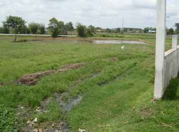 Nhà nước quy định tách thửa đất nông nghiệp như thế nào là hợp pháp