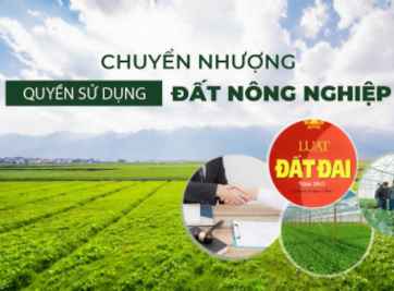 Quy định về mẫu hợp đồng chuyển nhượng đất nông nghiệp mới