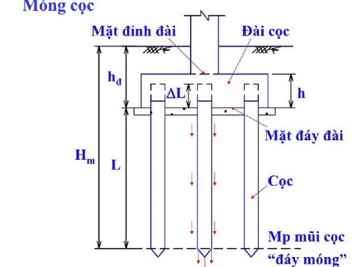 Góc chia sẻ: Định nghĩa khái quát nhất về móng cọc