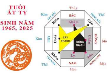 Tuổi ất tỵ hợp hướng nào? Xây nhà chuẩn phong thủy