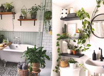 Top những loại cây nên trồng trong nhà vệ sinh chắc chắn hữu ích dành cho bạn