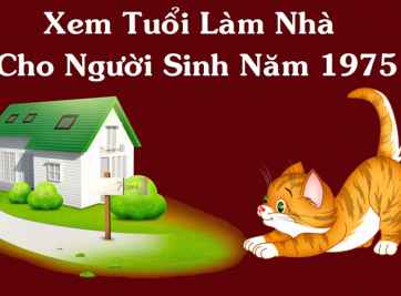 Tuổi Ất Mão làm nhà năm nào thì tránh được tai ương? 