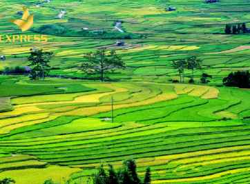 Quy định chuyển đổi ruộng đất năm bao nhiêu là chính xác nhất?