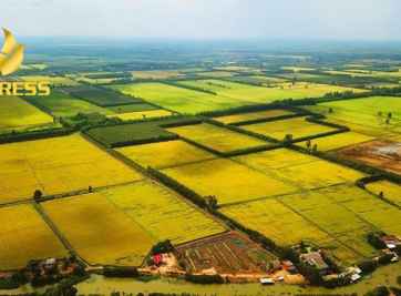 Cập nhật tất cả thông tin về đất ruộng ở Phong Điền Cần Thơ