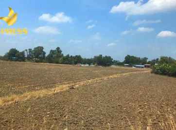 [Chia sẻ] Kinh nghiệm bán đất ruộng Kiên Giang 2019 quý giá