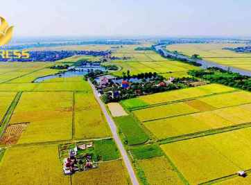 Một số lưu ý khi mua bán đất ruộng Bình Thủy Cần Thơ