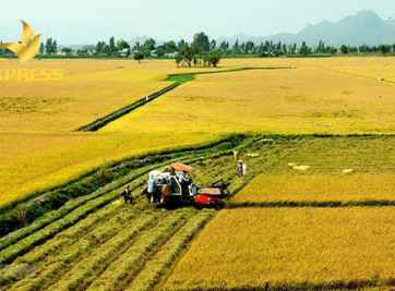 Khi nào lựa chọn đầu tư đất thổ cư hay đất nông nghiệp.