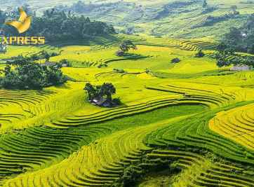 Cập nhật thị trường đất ruộng phường 5 Sóc Trăng mới nhất