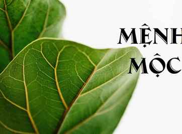 Một số nguyên tắc để để bố trí phong thủy phòng ngủ mệnh Mộc