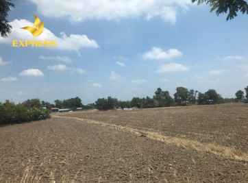 Giải đáp thắc mắc: có nên mua đất ruộng 50 năm hay không?